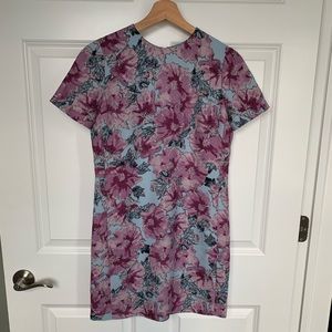 Babaton Patricio Dress